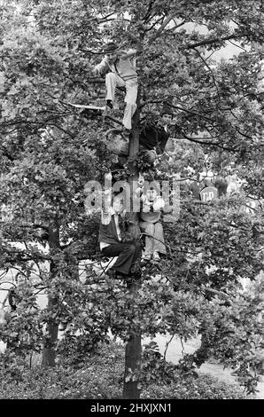 La reine Elizabeth II lors de sa visite à Solihull lors de sa visite du Jubilé d'argent. 27th juillet 1977 Banque D'Images
