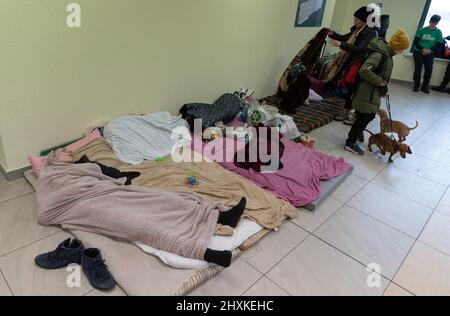 Lviv, Ukraine - 07 mars 2022 - les personnes se réfugient temporairement dans les locaux du Centre d'appui aux personnes déplacées, avant de s'installer dans la région de Lviv, dans l'ouest de l'Ukraine. Photo d'Anna Voitenko/Ukrinform/ABACAPRESS.COM Banque D'Images