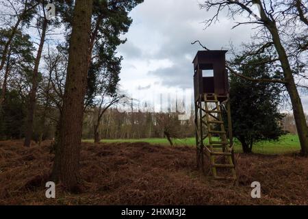 Shooting Tower, Swannington Norfolk Banque D'Images