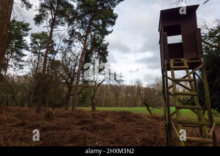 Shooting Tower, Swannington Norfolk Banque D'Images