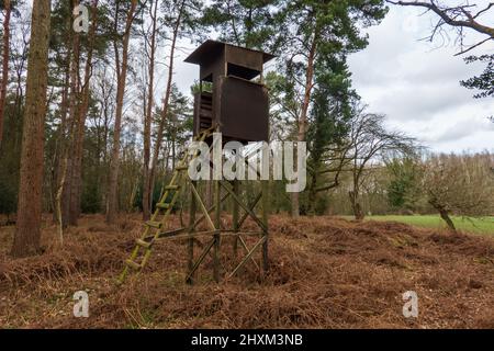 Shooting Tower, Swannington Norfolk Banque D'Images