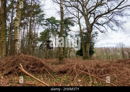 Shooting Tower, Swannington Norfolk Banque D'Images