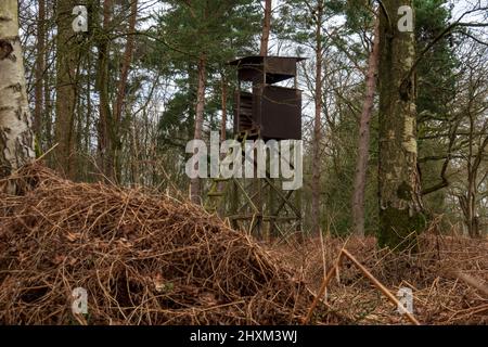 Shooting Tower, Swannington Norfolk Banque D'Images