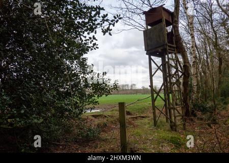 Shooting Tower, Swannington Norfolk Banque D'Images