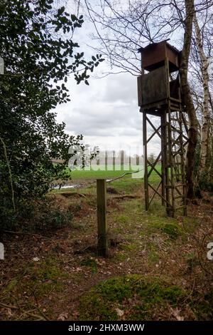 Shooting Tower, Swannington Norfolk Banque D'Images