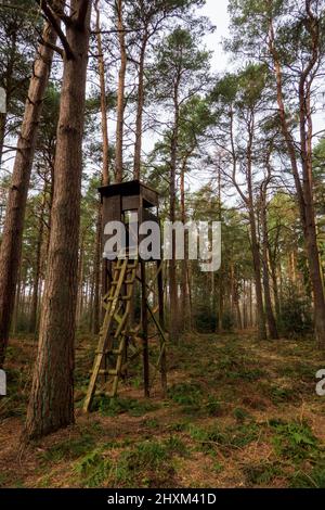 Shooting Tower, Swannington Norfolk Banque D'Images