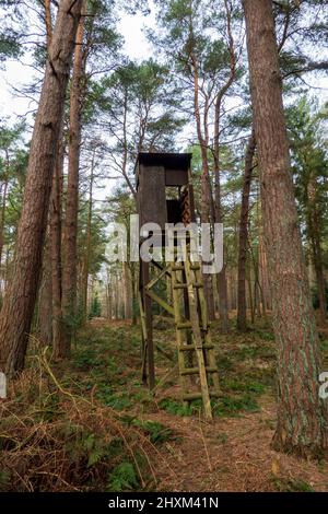 Shooting Tower, Swannington Norfolk Banque D'Images