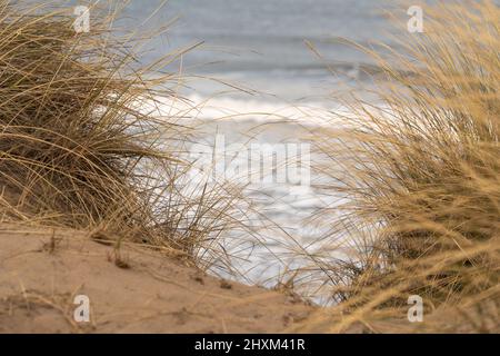 Vue depuis la péninsule, sur les dunes de sable jusqu'à la mer, depuis une plage britannique. Banque D'Images