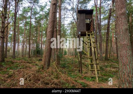 Shooting Tower, Swannington Norfolk Banque D'Images