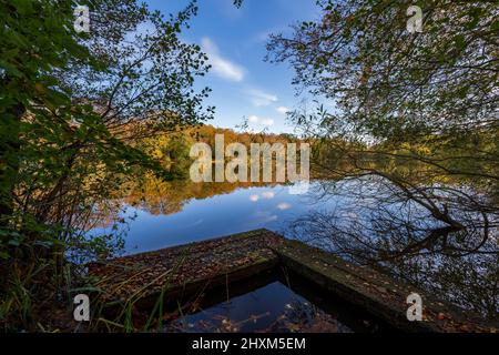 Bassin du moulin de Slaugham en automne, Slaugham, West Sussex, Angleterre, Royaume-Uni. Banque D'Images