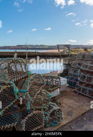 Paniers de homard à St Andrew's Harbour, St Andrew's, Fife, Écosse, Royaume-Uni Banque D'Images