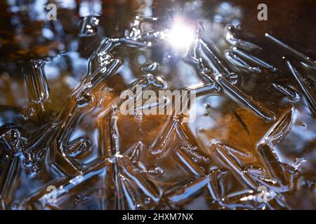 Géométrie de la surface de glace dans les eaux des marais, parc national Kemeri, Lettonie Banque D'Images