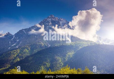 Superbes sommets enneigés du Mont Ushba dans la lumière du matin. Scène pittoresque et magnifique. Lieu place Svaneti, Mestia, Géorgie, Europe. Haut Caucase Banque D'Images