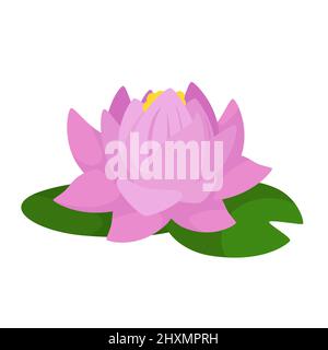 Illustration vectorielle d'une fleur de lotus isolée sur fond blanc Illustration de Vecteur