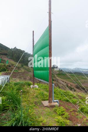 Récolte de nuages, filets de capture de brouillard, filets utilisés pour recueillir l'eau des nuages bas/brouillard/brouillard dans les montagnes de Gran Canaria, îles Canaries, Espagne Banque D'Images