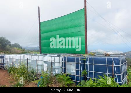 Récolte de nuages, filets de capture de brouillard, filets utilisés pour recueillir l'eau des nuages bas/brouillard/brouillard dans les montagnes de Gran Canaria, îles Canaries, Espagne Banque D'Images