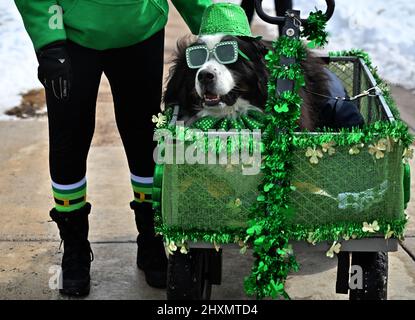 Wilkes barre, États-Unis. 13th mars 2022. Une femme et son chien vêtus de vert et portant un chapeau et des lunettes de soleil regardent la parade de Saint Patrick. La tempête d'hiver de samedi a laissé 5 pouces de neige, mais la parade de Saint Patrick dans le centre-ville de Wilkes-barre a eu lieu dimanche. Les employés de la ville ont débarraché les rues tard le samedi et tôt le dimanche. La température de la parade ne l'a jamais fait au-dessus de 30 degrés. Crédit : SOPA Images Limited/Alamy Live News Banque D'Images