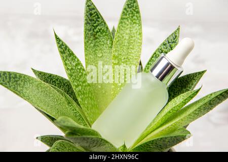 Un flacon compte-gouttes en verre avec sérum, huile essentielle ou autre produit cosmétique et fleur tropicale verte, plante, gros plan.Spa biologique naturel cosmétique B Banque D'Images