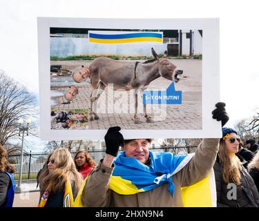 Washington, États-Unis. 13th mars 2022. L'homme porte un signe qui dit 'S--t sur Poutine!' Lors d'un rassemblement en face de la Maison Blanche pour soutenir l'Ukraine. Crédit : SOPA Images Limited/Alamy Live News Banque D'Images