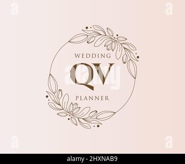 Lettre initiale de QV mariage monogramme logos collection, dessin à la main moderne minimaliste et modèles floraux pour cartes d'invitation, Save the Date, élégant Illustration de Vecteur