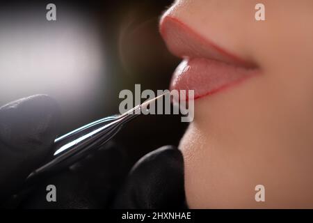 Gros plan des lèvres féminines avant d'appliquer le maquillage permanent dans un salon de beauté, le maître applique un contour aux lèvres. Concept de beauté féminine. Banque D'Images