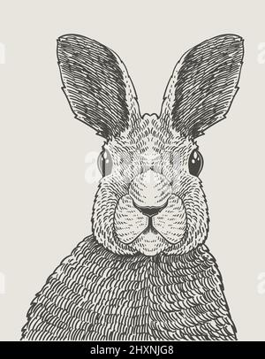 illustration vintage lapin gravure style Illustration de Vecteur