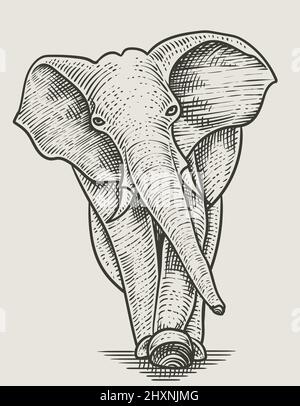 illustration vintage lapin gravure style Illustration de Vecteur