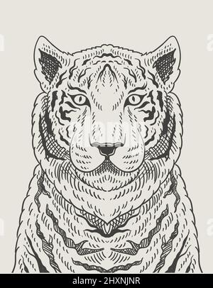 Illustration style de gravure Tiger vintage Illustration de Vecteur