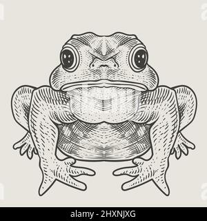 illustration style de gravure grenouille vintage Illustration de Vecteur