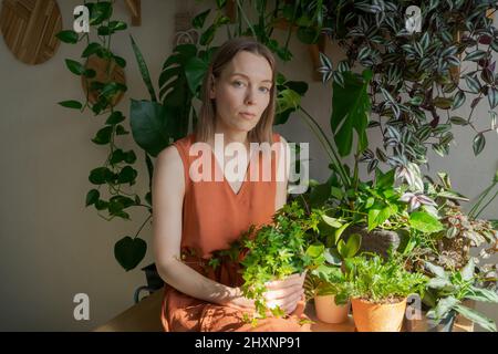 Belle femme en vêtements orange prend soin Ficus fleurit sur fond d'un grand nombre de plantes de maison. Ombre à la maison. Bonne ménagère et ses plantes à la maison lors d'une journée ensoleillée à la maison Banque D'Images