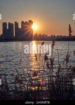 Bâtiments de la zone d'affaires internationale de Sondo, Incheon, Corée du Sud Banque D'Images