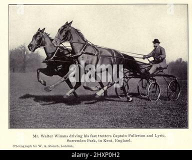 M. Walter Winans pilotant son rapide Trotters ' Captain Fullerton ' et ' Lyric ' Kent, Angleterre du livre The Gait of the American Trotter and Pacer : Une analyse de leur démarche par une nouvelle méthode et une enquête sur les principes généraux concernant l'équilibre correct de l'action de mouvement et de l'extension par Rudolf Jordan publié New York : W. R. Jenkins Co. 1910 Banque D'Images