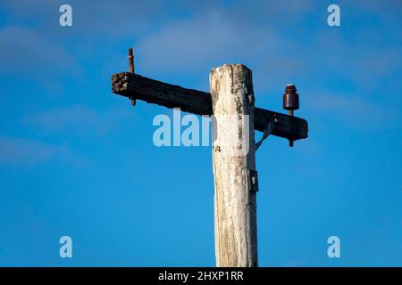 Pôle de puissance désutilisé près de Pahiatua, district de Tararua, Île du Nord, Nouvelle-Zélande Banque D'Images