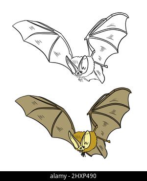Illustration d'un livre de coloriage en couleur et en noir et blanc. Dessin d'une chauve-souris sur un arrière-plan blanc isolé. Illustration de haute qualité Banque D'Images