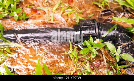 Conduite d'eau cassée . Mise au point sélective sur le tuyau et l'écoulement de l'eau. Banque D'Images