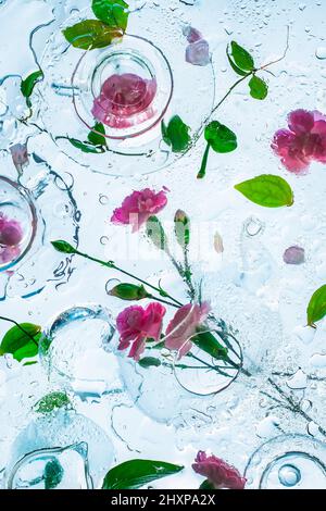 Composition fragile de verre et de fleurs, plat par dessous, gouttelettes d'eau, palette froide Banque D'Images