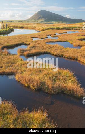 Belle lumière dorée sur le paysage de montagne du marais salé à Northton sur l'île de Lewis et Harris sur les Hébrides extérieures, Écosse, Royaume-Uni. Banque D'Images