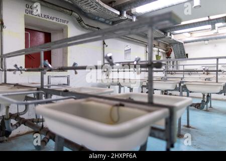 Nuremberg, Allemagne. 13th mars 2022. Les installations sanitaires avec lavabos en plastique dans le bunker NBC sous la station principale. Le bunker nucléaire a été construit en 1970s pendant la 'Guerre froide' et avait pour but de fournir aux citoyens une protection contre les armes nucléaires ou même les armes chimiques et biologiques de destruction massive. Credit: Daniel Karmann/dpa/Alay Live News Banque D'Images