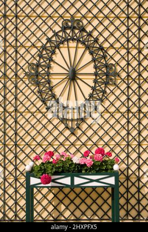 Treillis en bois de Biedermeier artful sur le mur jaune du château avec roses roses Banque D'Images