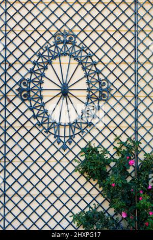 Treillis en bois de Biedermeier artful sur le mur jaune du château avec roses roses Banque D'Images