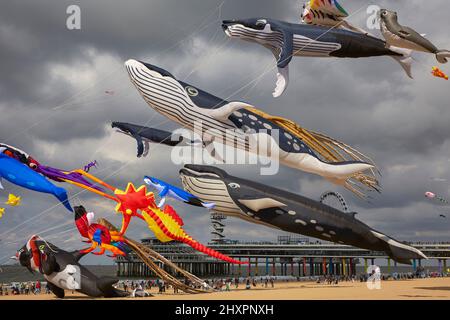 D'énormes cerfs-volants avec des personnages marins survolent les participants à l'événement Banque D'Images