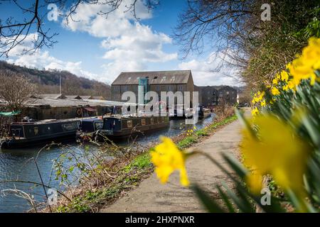 Sowerby Bridge, West Yorkshire, Royaume-Uni. 14th mars 2022. Météo au Royaume-Uni. Un beau ciel bleu et une journée ensoleillée au bassin historique du pont Sowerby, sur le canal Calder & Hebble/Rochdale, qui offre des amarres et des services de chantier agréables et sécurisés à l'ombre de la tour Wainhouse classée en Grade2. Le port de plaisance a été utilisé comme un emplacement pour divers dramatiques de télévision, y compris le thriller Sarah Lancashire "Happy Valley". Crédit : Windmill Images/Alamy Live News Banque D'Images