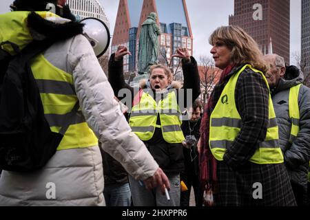 Des membres du mouvement des Vêtes jaunes protestent devant le Parlement de la Haye. Banque D'Images