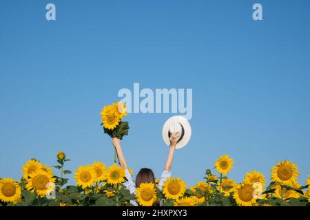 Femme tournant son dos chand élevé au-dessus de sa tête un bouquet de tournesols sur un fond de ciel bleu. Le concept de victoire en Ukraine Banque D'Images