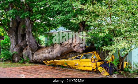 L'ouragan a frappé la Dominique dans les Caraïbes Banque D'Images
