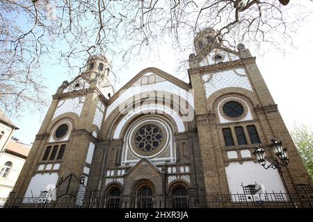 La synagogue Novi Sad est l'une des quatre synagogues qui existent aujourd'hui dans Banque D'Images