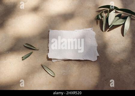 Maquettes de cartes de visite en coton vierge avec feuilles d'olive et branches. Fond de marbre, lumière du soleil, recouvrement d'ombres. Modèle moderne pour l'identité de marque Banque D'Images