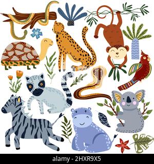 Collection d'animaux de la jungle. Zèbre, perroquets, koala, singe, lémurien, rhino, tortue, serpent et feuille tropicale. Animaux mignons. Illustration vectorielle. Illustration de Vecteur