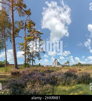 Radio Kootwijk à la région naturelle de Veluwe, radio Kootwijk, pays-Bas *** Légende locale *** paysage, champ, prairie, arbres, automne, cl Banque D'Images