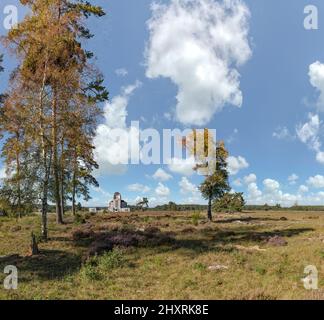 Radio Kootwijk dans la zone naturelle de Veluwe, radio Kootwijk, pays-Bas *** Légende locale *** paysage, forêt, bois, arbres, automne, clo Banque D'Images